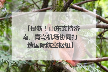最新！山东支持济南、青岛机场协同打造国际航空枢纽