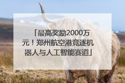 最高奖励2000万元！郑州航空港竞逐机器人与人工智能赛道
