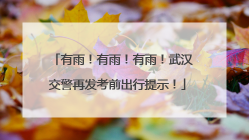 有雨！有雨！有雨！武汉交警再发考前出行提示！