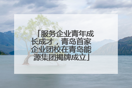 服务企业青年成长成才，青岛首家企业团校在青岛能源集团揭牌成立