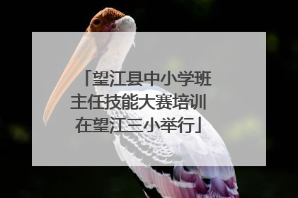 望江县中小学班主任技能大赛培训在望江三小举行