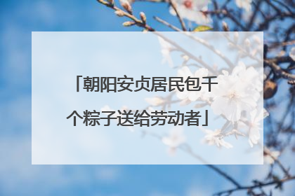 朝阳安贞居民包千个粽子送给劳动者