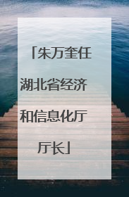 朱万奎任湖北省经济和信息化厅厅长