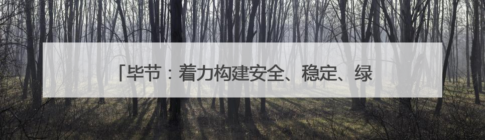 毕节：着力构建安全、稳定、绿色、高效的城镇燃气供应体系
