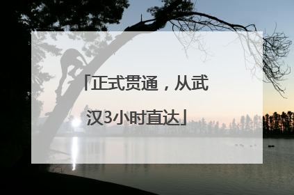 正式贯通，从武汉3小时直达
