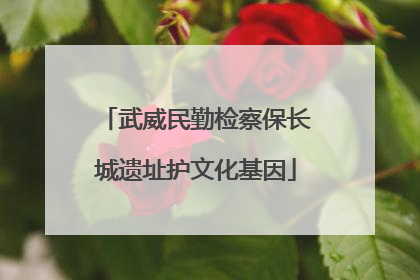 武威民勤检察保长城遗址护文化基因