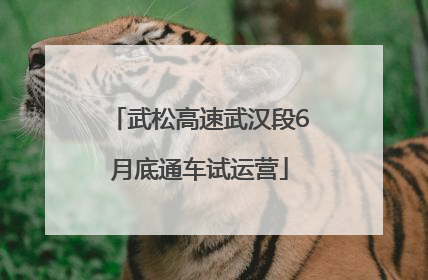 武松高速武汉段6月底通车试运营