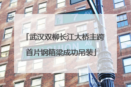 武汉双柳长江大桥主跨首片钢箱梁成功吊装