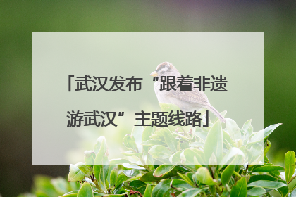 武汉发布“跟着非遗游武汉”主题线路