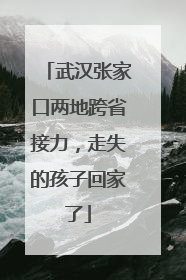 武汉张家口两地跨省接力，走失的孩子回家了