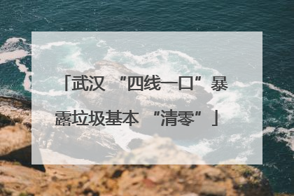 武汉 “四线一口”暴露垃圾基本 “清零”