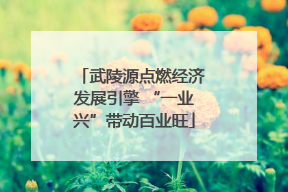 武陵源点燃经济发展引擎 “一业兴”带动百业旺