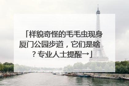 样貌奇怪的毛毛虫现身厦门公园步道，它们是啥？专业人士提醒→