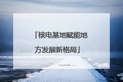核电基地赋能地方发展新格局