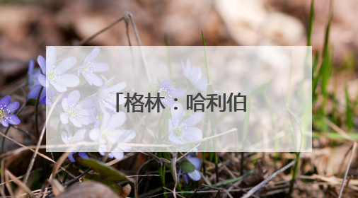 格林：哈利伯顿的运球隐蔽且高效 与库里和欧文风格相似