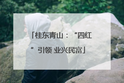 桂东青山:“四红”引领 业兴民富