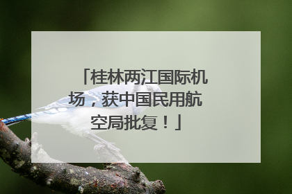 桂林两江国际机场，获中国民用航空局批复！