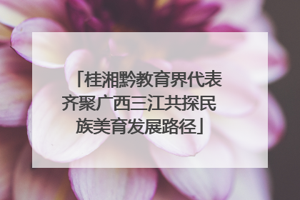 桂湘黔教育界代表齐聚广西三江共探民族美育发展路径