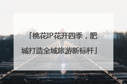 桃花IP花开四季，肥城打造全域旅游新标杆