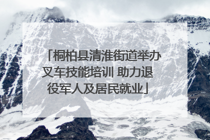 桐柏县清淮街道举办叉车技能培训 助力退役军人及居民就业