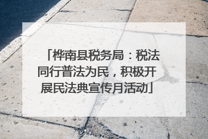 桦南县税务局：税法同行普法为民，积极开展民法典宣传月活动