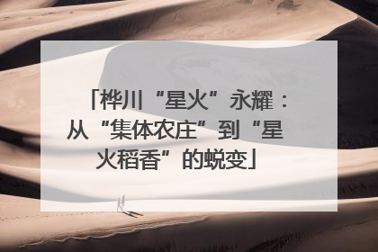 桦川“星火”永耀：从“集体农庄”到“星火稻香”的蜕变