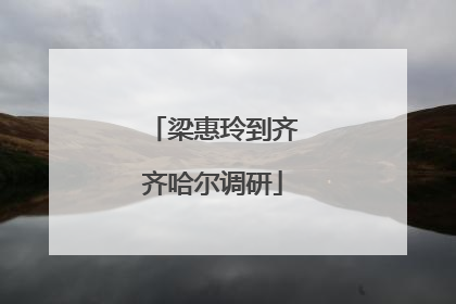 梁惠玲到齐齐哈尔调研