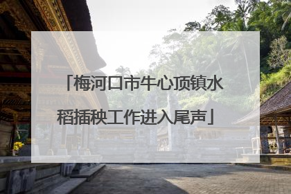 梅河口市牛心顶镇水稻插秧工作进入尾声