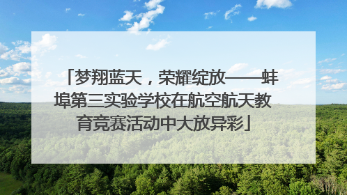 梦翔蓝天，荣耀绽放——蚌埠第三实验学校在航空航天教育竞赛活动中大放异彩