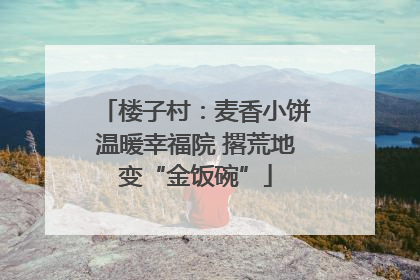 楼子村：麦香小饼温暖幸福院 撂荒地变“金饭碗”