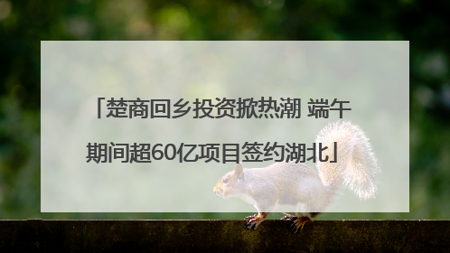楚商回乡投资掀热潮 端午期间超60亿项目签约湖北