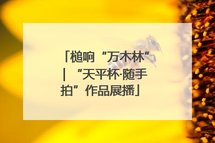 槌响“万木林”｜“天平杯·随手拍”作品展播