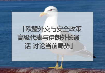 欧盟外交与安全政策高级代表与伊朗外长通话 讨论当前局势