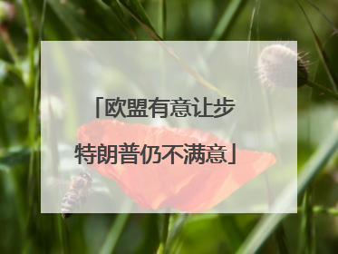 欧盟有意让步 特朗普仍不满意