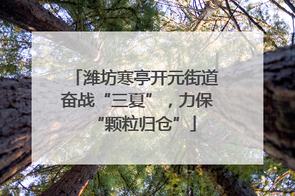 潍坊寒亭开元街道奋战“三夏”，力保“颗粒归仓”