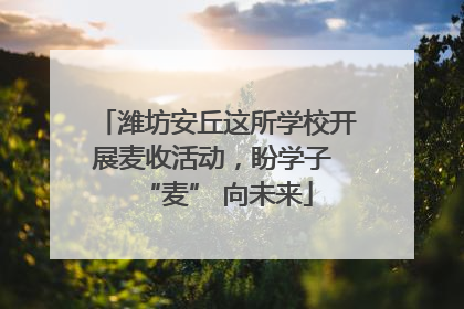 潍坊安丘这所学校开展麦收活动，盼学子 “麦” 向未来