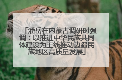 潘岳在内蒙古调研时强调：以推进中华民族共同体建设为主线推动边疆民族地区高质量发展