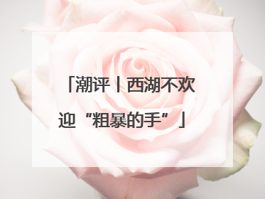 潮评丨西湖不欢迎“粗暴的手”
