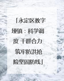 永定区教字垭镇：科学调度 干群合力 筑牢防洪抢险坚固防线