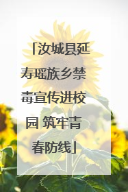 汝城县延寿瑶族乡禁毒宣传进校园 筑牢青春防线