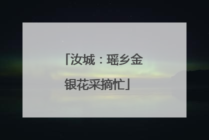 汝城：瑶乡金银花采摘忙