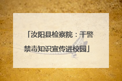 汝阳县检察院：干警禁毒知识宣传进校园