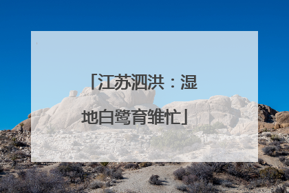 江苏泗洪：湿地白鹭育雏忙