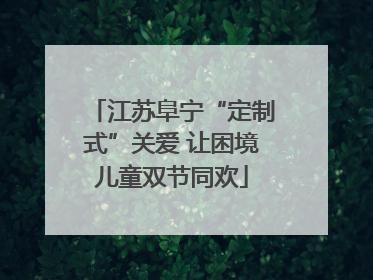 江苏阜宁“定制式”关爱 让困境儿童双节同欢
