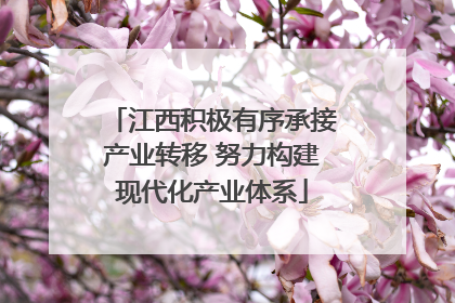 江西积极有序承接产业转移 努力构建现代化产业体系