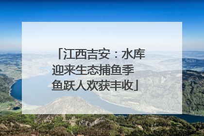 江西吉安：水库迎来生态捕鱼季 鱼跃人欢获丰收