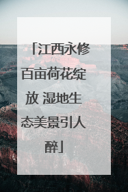 江西永修百亩荷花绽放 湿地生态美景引人醉