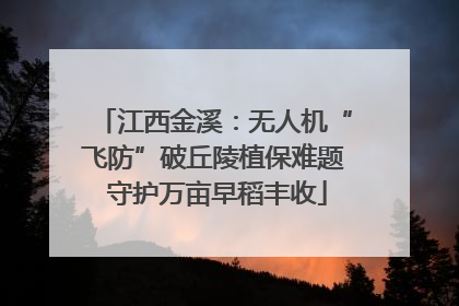 江西金溪：无人机“飞防”破丘陵植保难题 守护万亩早稻丰收