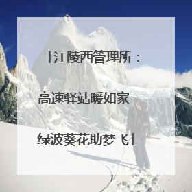 江陵西管理所：高速驿站暖如家 绿波葵花助梦飞