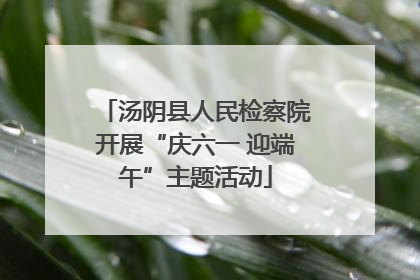汤阴县人民检察院开展“庆六一 迎端午”主题活动